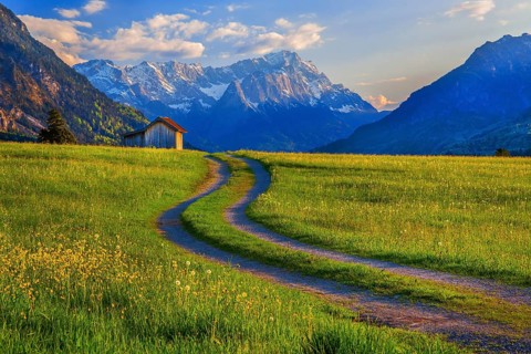 Spring meadow with the Zugspitzgruppe 2962m in the evening sun, Eschenlohe, Wetterstein range,
