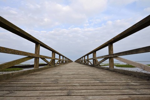 Wooden walkway in the Wadden Sea, Wadden Sea National Park, North Frisia, Schleswig-Holstein,
