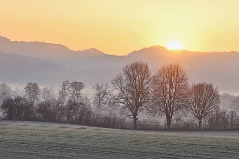 Meadows and trees in the early morning mist in the light of the rising sun, Reusstal, Aristau,