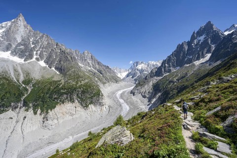 Picturesque mountain landscape with blooming alpine roses, imposing mountain peaks and glaciers,