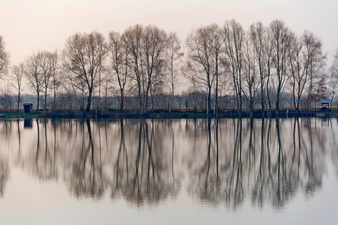 Evening mood at Moosinninger Weiher, quarry pond, fishing pond for carp, reflection of the trees on
