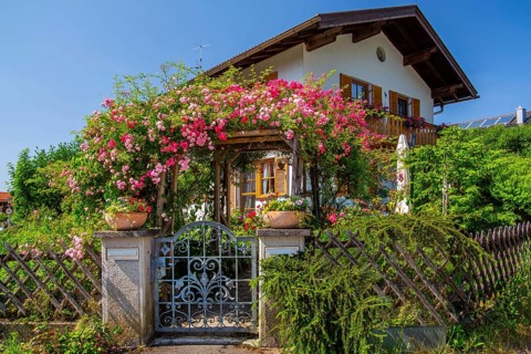 Rose arch over garden gate to Upper Bavarian country house, Ohlstadt, Loisach Valley, The Blue