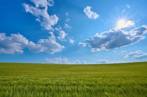 Sunny day over a wide grain field with blue sky and clouds, summer, Thüngen, district Main