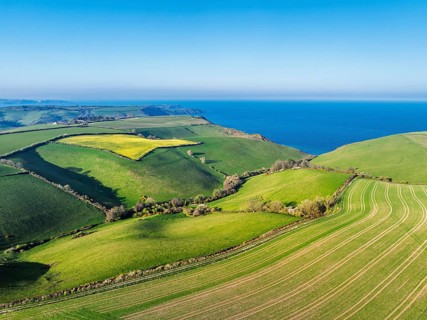 Farms and Fields over Brixham and Kingswear from a drone, Devon, England, United Kingdom