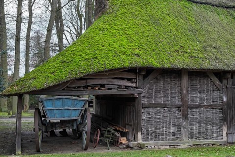 Old barn with moss-covered thatched roof, Lower Saxony, Germany