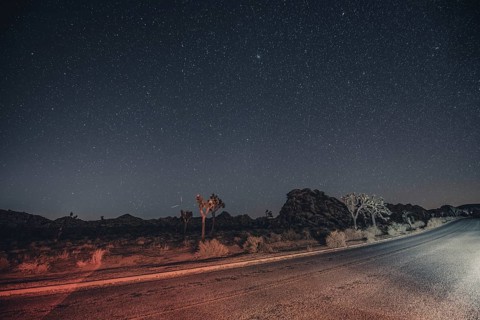 Starry sky in Joshua Tree National Park