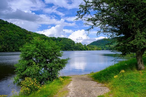 Rur dam, Rur reservoir, Einruhr, North Eifel, Eifel, North Rhine-Westphalia, Germany