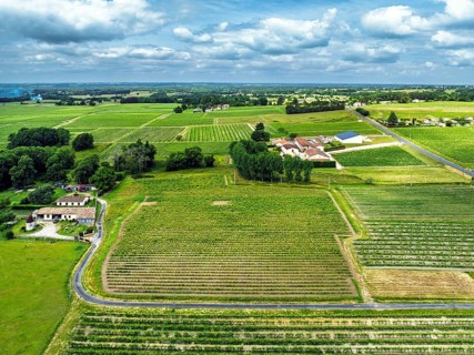 Vineyards and grape fields around Bordeaux from a drone, Saint-Mariens, Gironde,