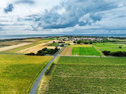 Fields and Grape plantations from a drone, Saint-Clement-des-Baleines, Atlantic, France