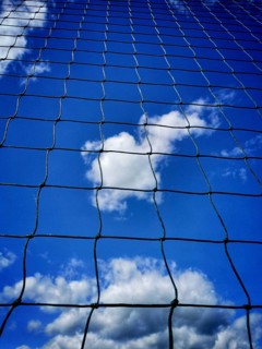 Looking up at a blue sky filled with clouds, framed by a black net. The sunlight highlights the