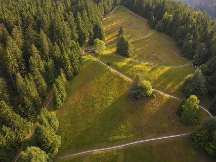 View from above of forest and slope in golden sunlight, with winding paths, Retro Freizeitpark