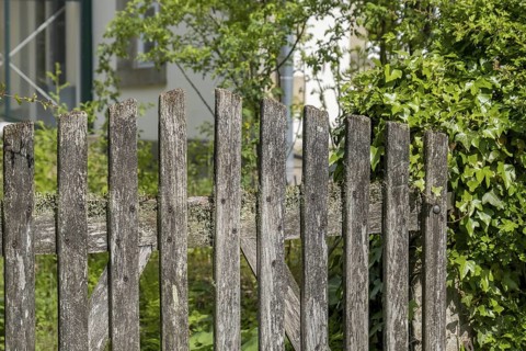 Old garden gate made of weathered wood, North Rhine-Westphalia, Germany