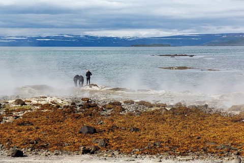 Hot spring flows into the sea, tourists on the steaming rocky coast near Reykjanes, Súðavík,