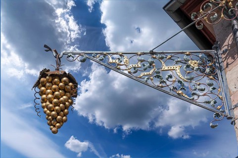 Nose sign with bunch of grapes at a wine bar, Kirchenstraße 2, Erlangen, Middle Franconia, Bavaria,
