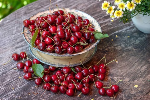 Fresh sweet cherries (Prunus avium) in a bowl, Bavaria, Germany