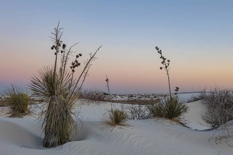 Gypsum dunefields at White Sands National Monument located within the Chihuahuan Desert and the