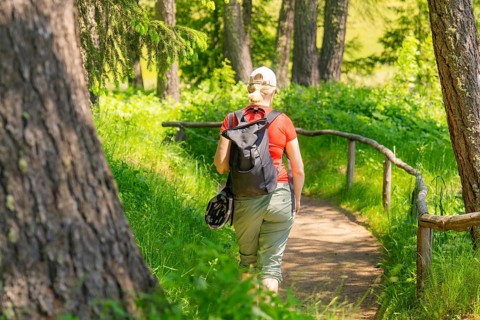 Person with rucksack hiking on a sunny forest path, Alpe di Siusi, Dolomites, South Tyrol, Italy
