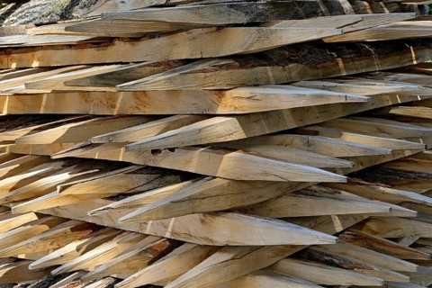 Stacked fence posts with sharpened ends. North Rhine-Westphalia, Germany