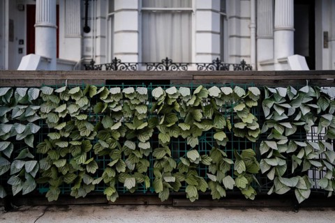 Artificial plastic plant leaves on a fence, Kensington, London, England, Great Britain