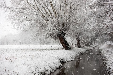 Stream, old drainage ditch in the Rhine floodplains near Meerbusch in winter with snow, Ilvericher