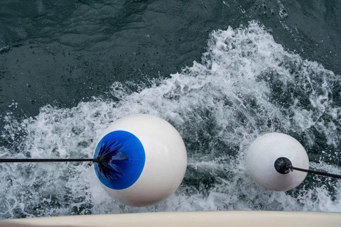White buoys with blue markings float on moving water with whitecaps, Montenegro