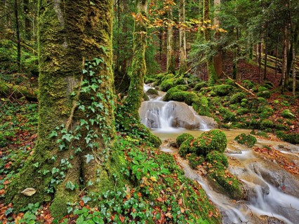 Waterfall surrounded by moss-covered stones in autumnal coloured surroundings, on the river Sihl,