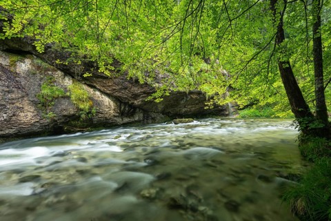 Wild and romantic Weißbach Gorge near Inzell