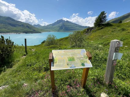 In the foreground information board with explanations about Jardin Alpin, in the background Lac du