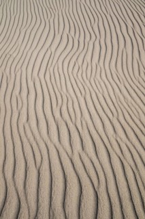 Wave-like wind-formed sand structures in close-up, Hvide Sande, North Sea, Denmark