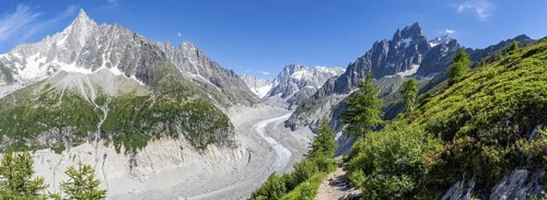 Panorama, Picturesque mountain landscape with blooming alpine roses, imposing mountain peaks and