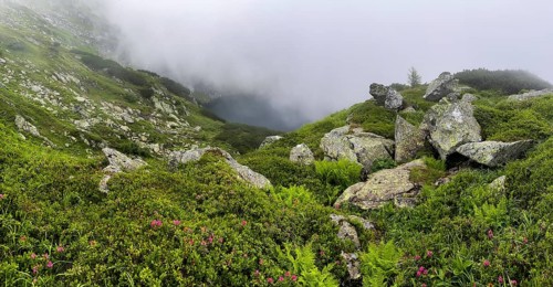 Wisps of mist drift over Kaltenbachsee, Schladminger Tauern, Sölktäler nature park Park, St.