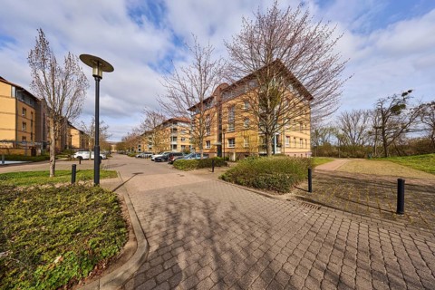 Residential area, apartment blocks, residential building, lantern, bare wintry trees, parking