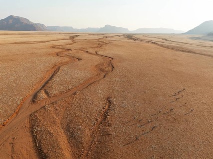 Gemsbok (Oryx gazella). Roaming an arid plain with dried-up river beds and isolated mountain ridges