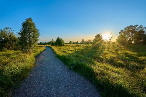 A path leads through nature, illuminated by the sun on the horizon, High Fens, Eifel, Liège,