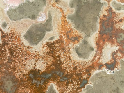 Salt marsh at the Skeleton Coast. Aerial view. Drone shot. Dorob National Park, Namibia