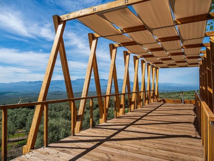 Wooden viewing platform, city Ubeda, view over endless olive tree fields to distant mountains,