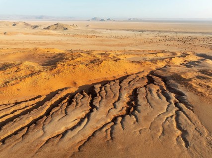 Canyon, sand dunes and camelthorn trees (Vachellia erioloba) in the Tsondab Valley in the Namib