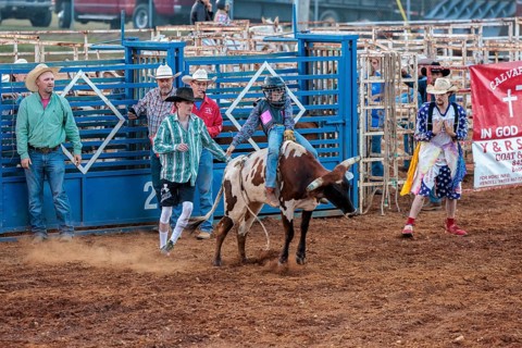 Young boy participating in a steer riding event during the Hardin County Fair Rodeo in Savannah,