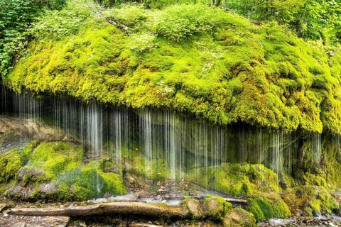 The Dietfurt waterfall, moss and stones, long exposure, Wutach Gorge, Black Forest,