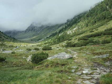 Historic mule track, Windbachtal, Krimmler Tauern, Pinzgau, Salzburg, Austria
