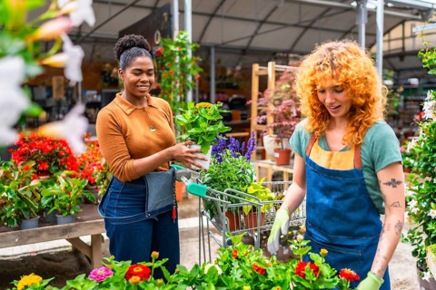 Two young women working in a garden center are pushing a shopping cart full of plants and flowers