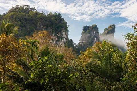 Jungle and rainforest with steep mountains, Khao Sok National Park, Phang Nga, Surat Thani,