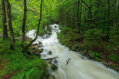 Roaring Weißbach after summer rain near Inzell