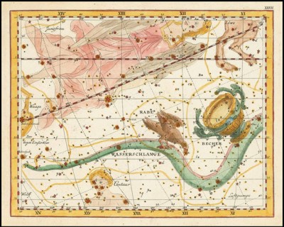 Zodiac sign raven, water snake and cup, star chart, universe, astrology, horoscope, after Johann