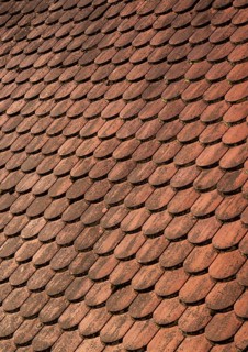 Red shingle roof, house roof, detail, Steyr, Upper Austria, Austria