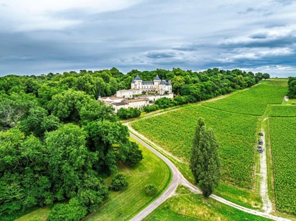 Castle of La Riviere, Vineyard Chateau de La Riviere from a drone, Bordeaux, France