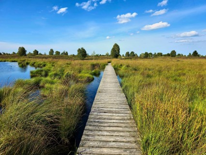 Wooden footbridge through grassy marshland with blue sky and scattered clouds, summer, High Fens,
