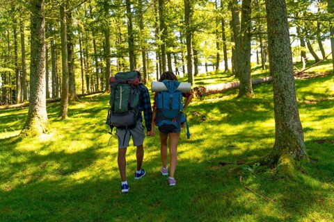 Couple enjoying hiking trip in lush green forest, carrying backpacks and holding hands,