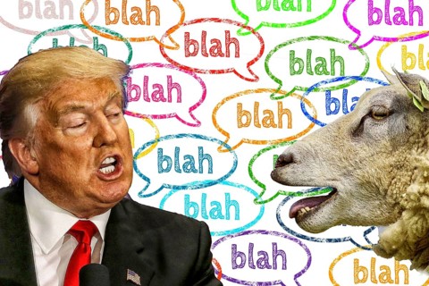Symbolic image, Trump and sheep at blah-blah, governing by decree, no more United States, democracy