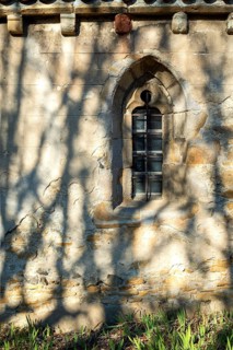 Shadows from surrounding trees create a striking pattern against a weathered stone wall featuring a
